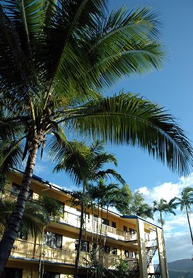 Palms At Trinity - Northern Rivers Accommodation 3