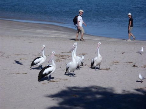 Kalbarri Accommodation Service - Northern Rivers Accommodation 5