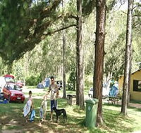 Glasshouse Mountains Holiday Village - Northern Rivers Accommodation