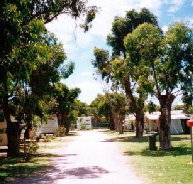 Bathers Paradise Caravan Park - Northern Rivers Accommodation