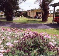 Brigadoon Holiday Units - Northern Rivers Accommodation