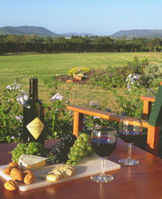 Tranquil Vale Vineyard Cottages - Northern Rivers Accommodation 0