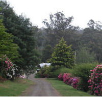 Mountain Rivers Lodge - Northern Rivers Accommodation