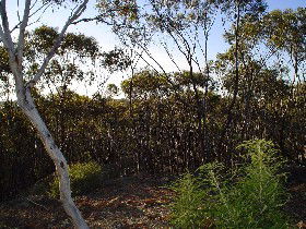 Bulga ACT Northern Rivers Accommodation