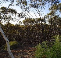 Lions Dryandra Woodlands Village - Northern Rivers Accommodation