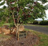 Belle Vue Studio - Northern Rivers Accommodation