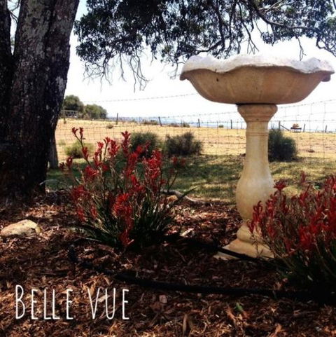 Belle Vue Studio - Northern Rivers Accommodation 1