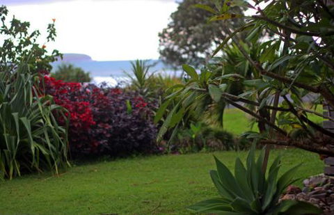 ArtHOUSE Beachfront Accommodation - Northern Rivers Accommodation 6