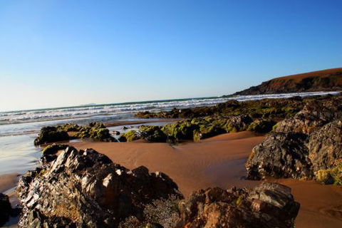 ArtHOUSE Beachfront Accommodation - Northern Rivers Accommodation 8