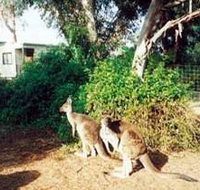 Avoca Dell Caravan Park - Northern Rivers Accommodation