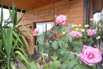 Balgownie Estate Vineyard & Spa - Northern Rivers Accommodation 2