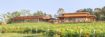 Balgownie Estate Vineyard & Spa - Northern Rivers Accommodation 5