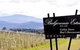 Balgownie Estate Vineyard & Spa - thumb 41
