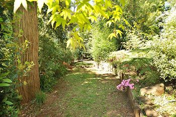 Holly Lodge - Northern Rivers Accommodation 4