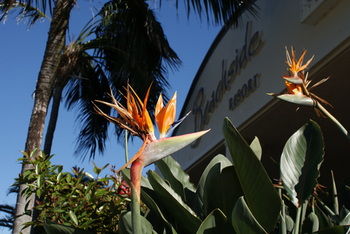 Beachside Resort - Kawana Waters - Northern Rivers Accommodation 4