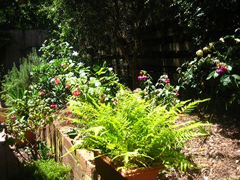 Bungunyah Apartments - Northern Rivers Accommodation 1