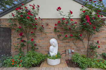 Bungunyah Apartments - Northern Rivers Accommodation 8