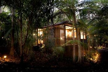 Amore On Buderim Luxury Rainforest Cabins - Northern Rivers Accommodation 10