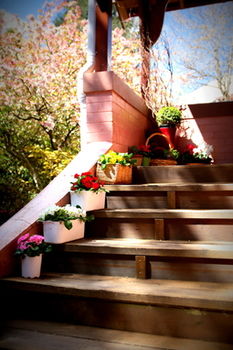 Hotel Avonleigh - Northern Rivers Accommodation 13