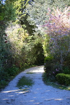 Hotel Avonleigh - Northern Rivers Accommodation 15