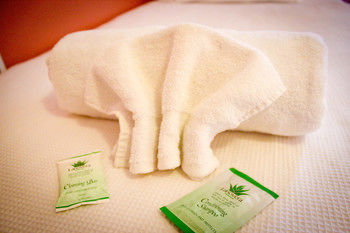 Hotel Avonleigh - Northern Rivers Accommodation 26