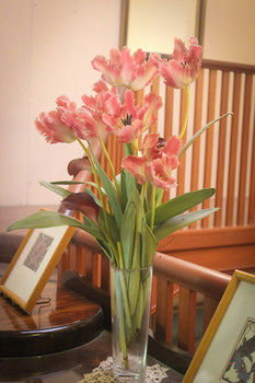 Hotel Avonleigh - Northern Rivers Accommodation 30