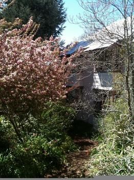 Hotel Avonleigh - Northern Rivers Accommodation 45