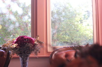 Hotel Avonleigh - Northern Rivers Accommodation 46