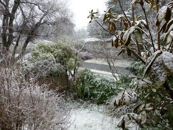 Hotel Avonleigh - Northern Rivers Accommodation 51