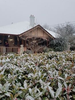 Hotel Avonleigh - Northern Rivers Accommodation 53