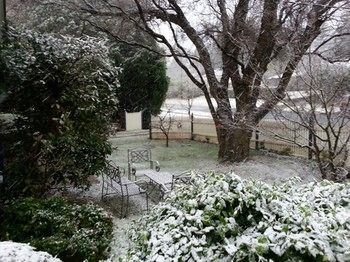 Hotel Avonleigh - Northern Rivers Accommodation 55