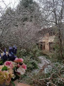 Hotel Avonleigh - Northern Rivers Accommodation 56