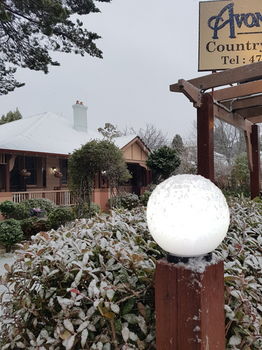 Hotel Avonleigh - Northern Rivers Accommodation 58