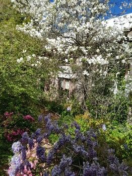 Hotel Avonleigh - Northern Rivers Accommodation 62