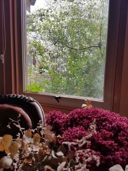 Hotel Avonleigh - Northern Rivers Accommodation 64