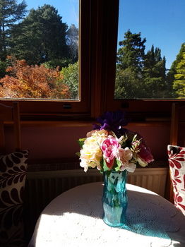 Hotel Avonleigh - Northern Rivers Accommodation 66