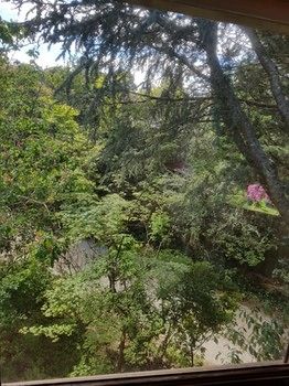 Hotel Avonleigh - Northern Rivers Accommodation 70