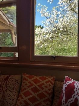 Hotel Avonleigh - Northern Rivers Accommodation 71