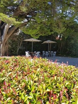 Hotel Avonleigh - Northern Rivers Accommodation 74