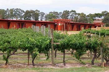 De'Vine Escape - Northern Rivers Accommodation 4