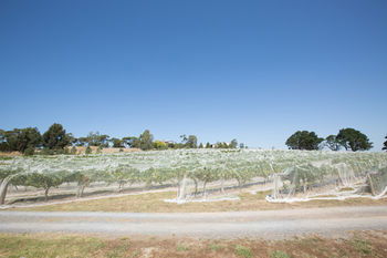 De'Vine Escape - Northern Rivers Accommodation 12