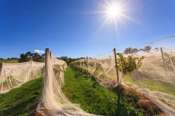 De'Vine Escape - Northern Rivers Accommodation 14