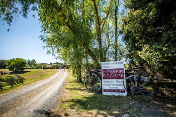 De'Vine Escape - Northern Rivers Accommodation 22