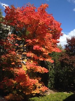 Valley Of The Waters B&B - Northern Rivers Accommodation 5