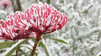 Valley Of The Waters B&B - Northern Rivers Accommodation 12