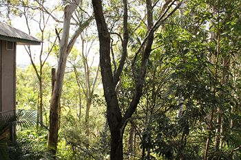 Arabella Guesthouse - Northern Rivers Accommodation 18