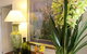 Arabella Guesthouse - thumb 44