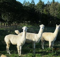 Blackwattle Farm BampB and Farm Stay - Northern Rivers Accommodation