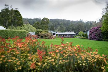 CountryPlace - Northern Rivers Accommodation 8