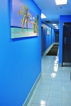 Jackaroo Hostel Sydney - Northern Rivers Accommodation 10